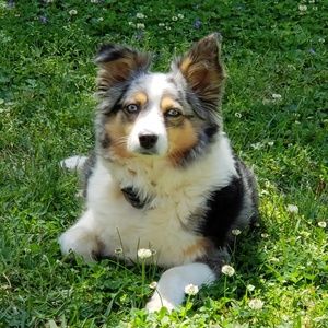 Meet your Posher, Louise